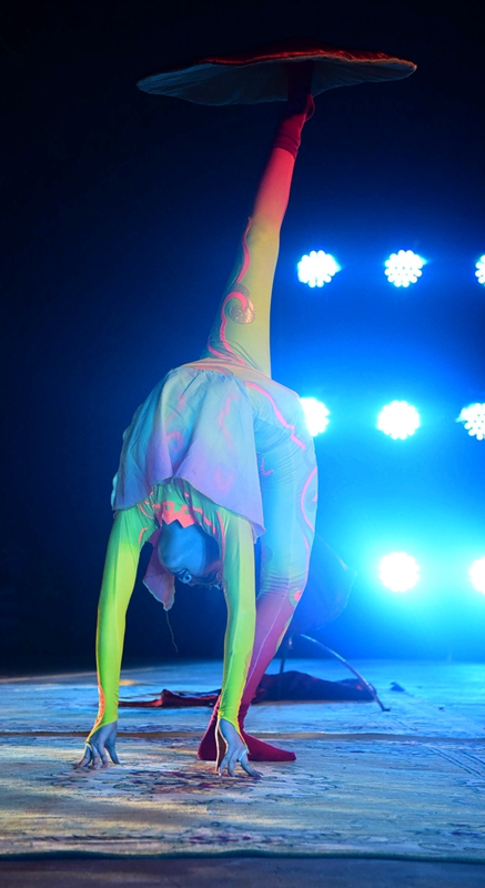 DSC_8891.JPG