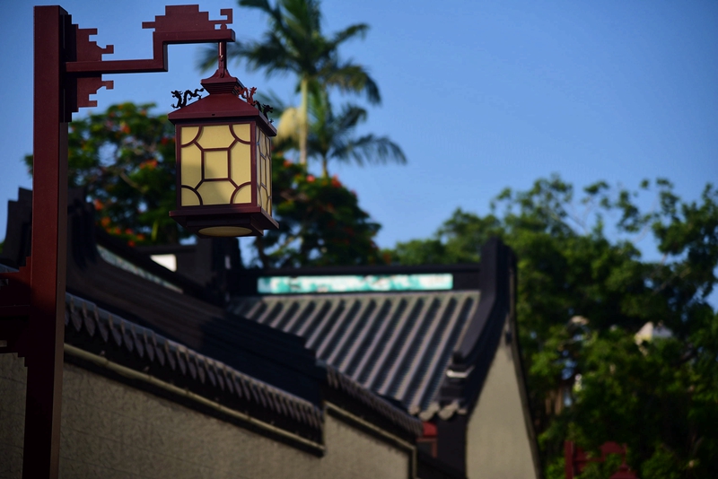 DSC_9107 - 副本.JPG