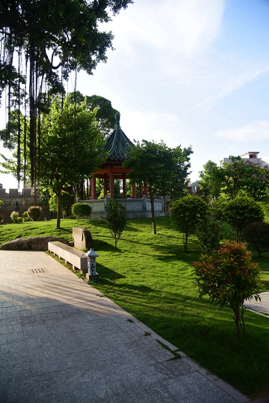 DSC_9130.JPG