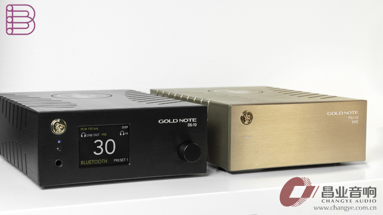 goldnote-ds10-plus.jpg
