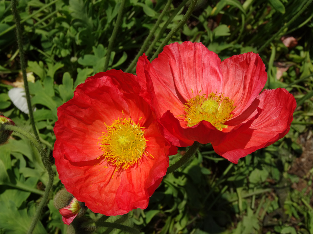 DSC03505_副本.jpg