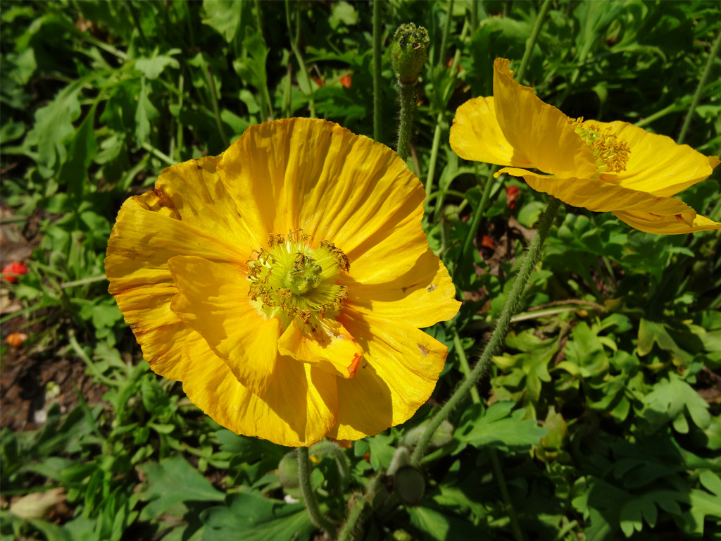 DSC03509_副本.jpg