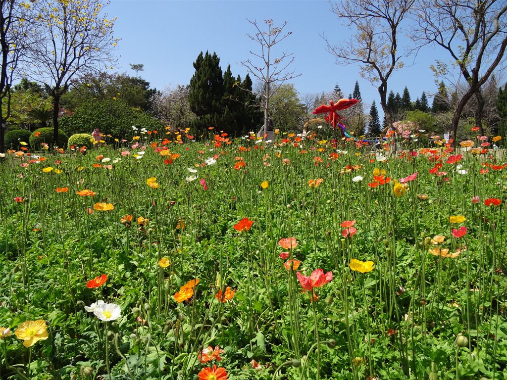 DSC03511_副本.jpg