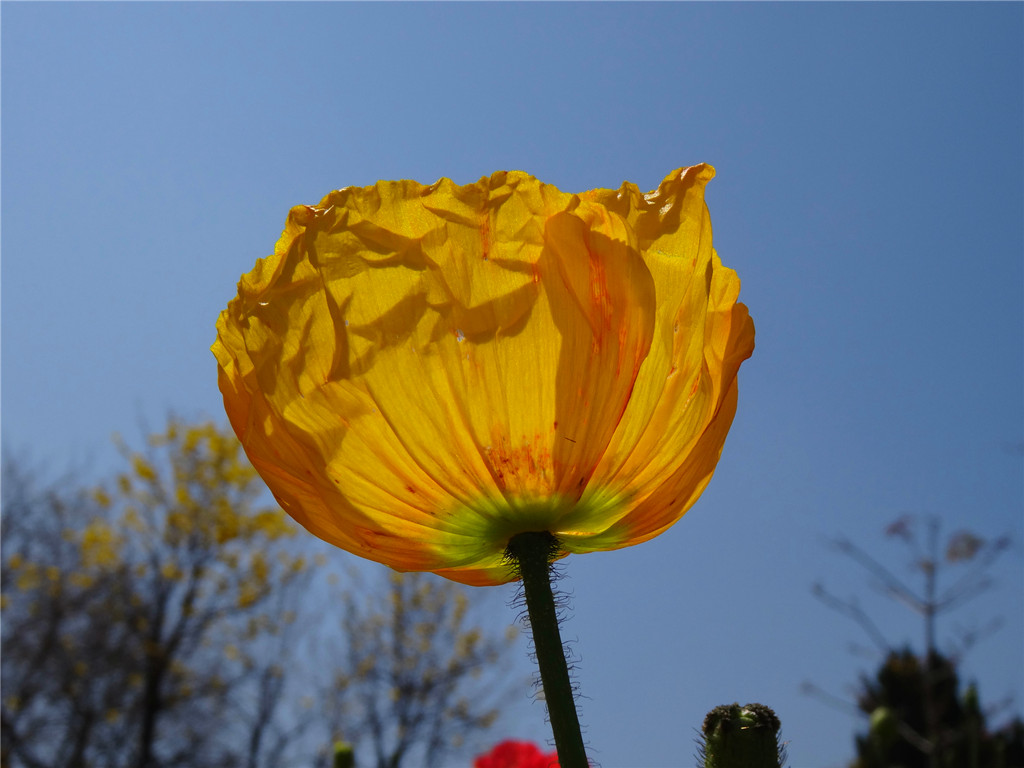 DSC03537_副本.jpg