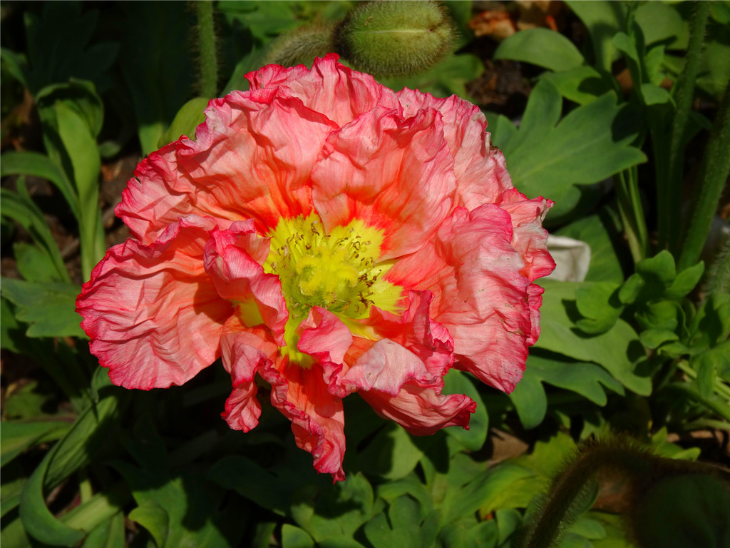 DSC03528_副本.jpg