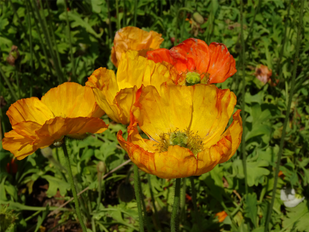 DSC03508_副本.jpg
