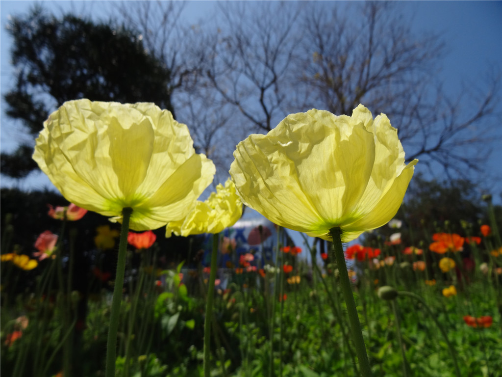 DSC03530_副本.jpg