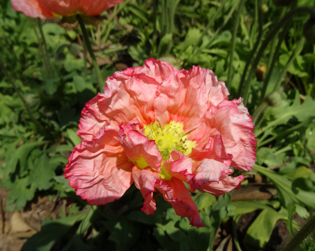 DSC03527_副本.jpg