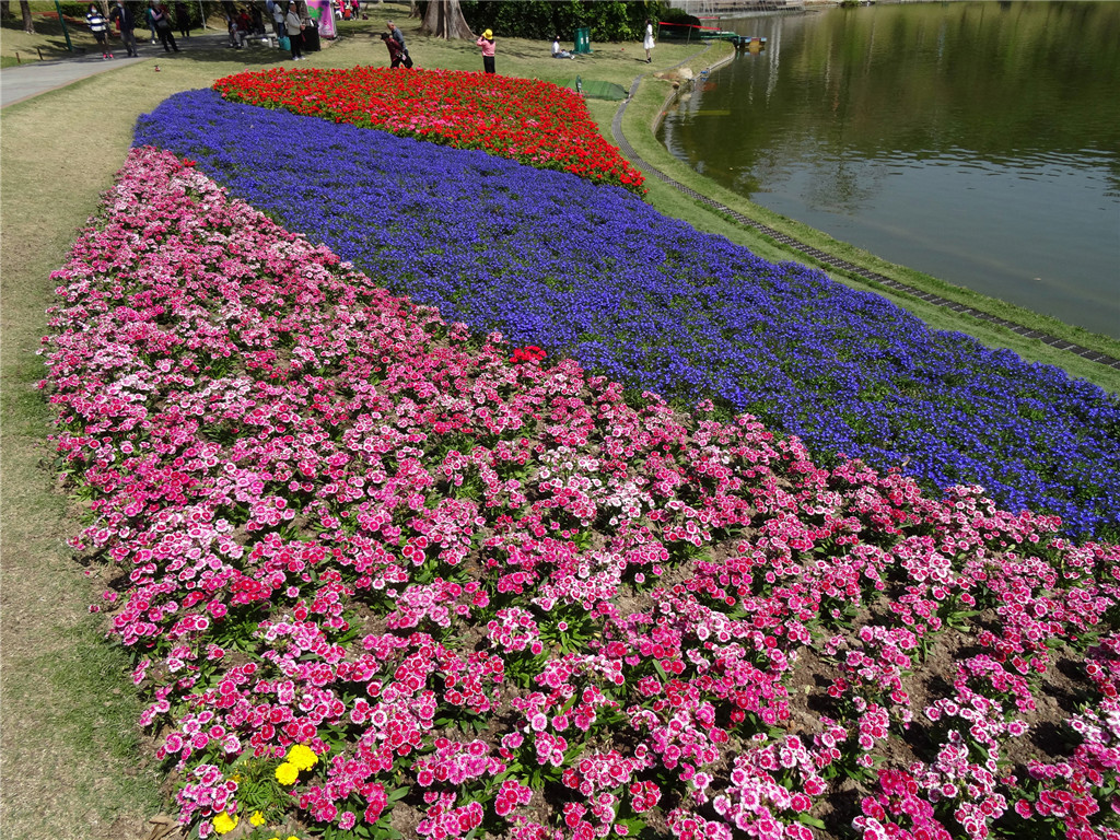 DSC03502_副本.jpg