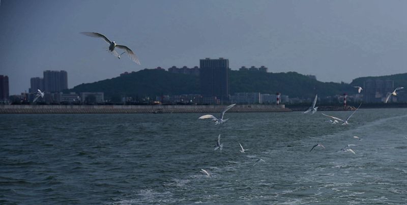 DSC_1561.JPG