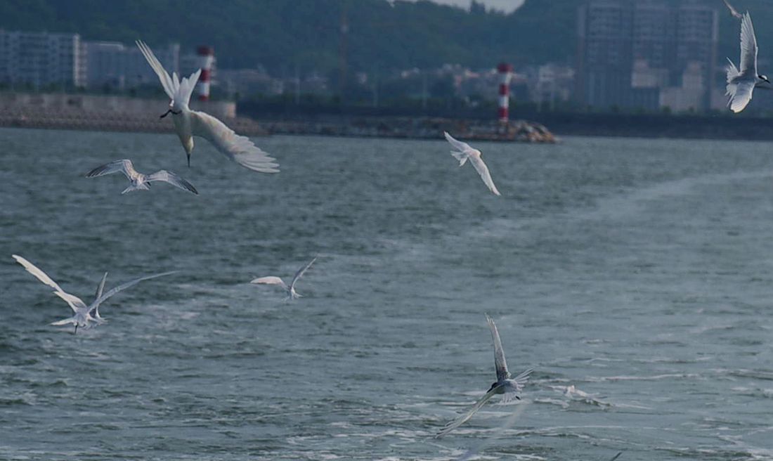 DSC_1564.JPG