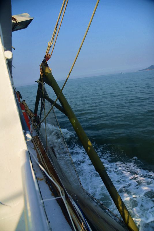 DSC_1597.JPG