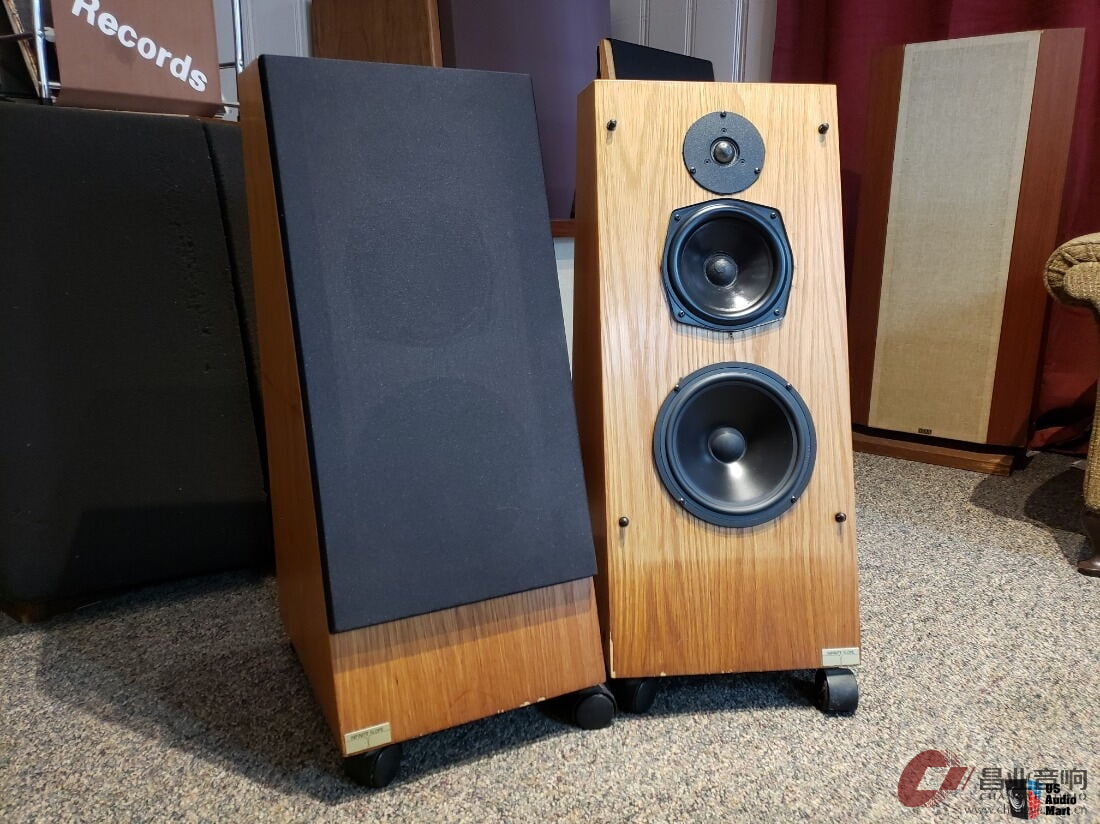 3712996-ec5f03e6-jse-model-1-infinite-slope-speakers.jpg