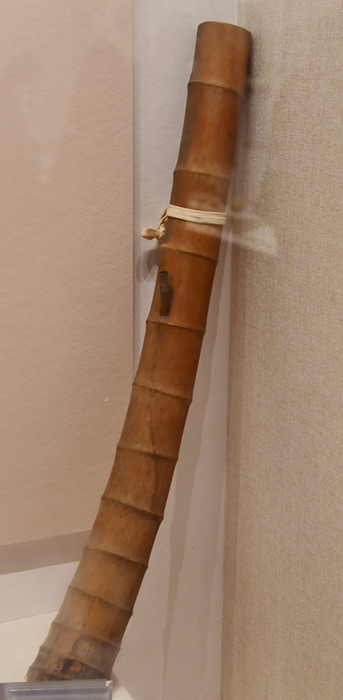 DSC_4013.JPG