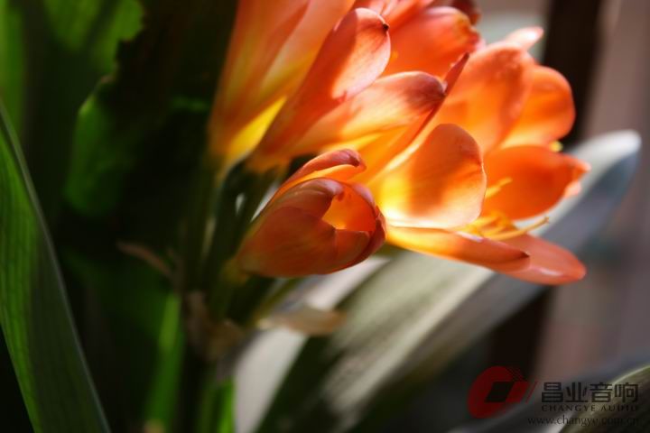 调整大小 IMG_0805.jpg