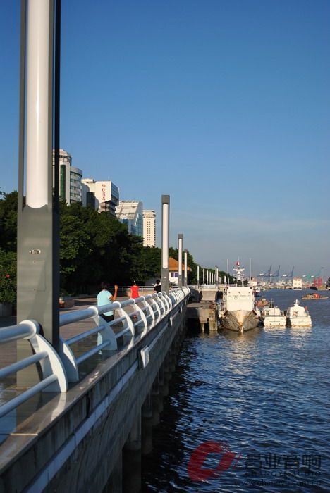 DSC_0252.jpg