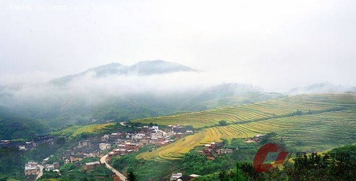 坪山梯田6.jpg