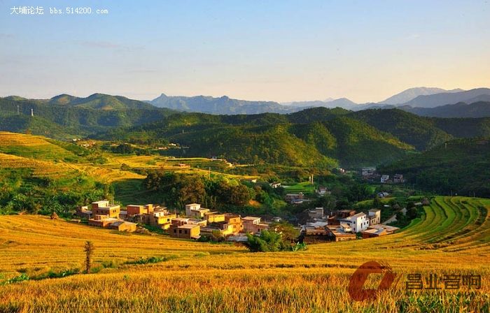 坪山梯田2.jpg