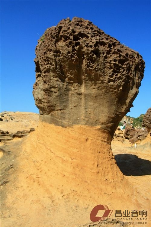 野柳地质5.jpg