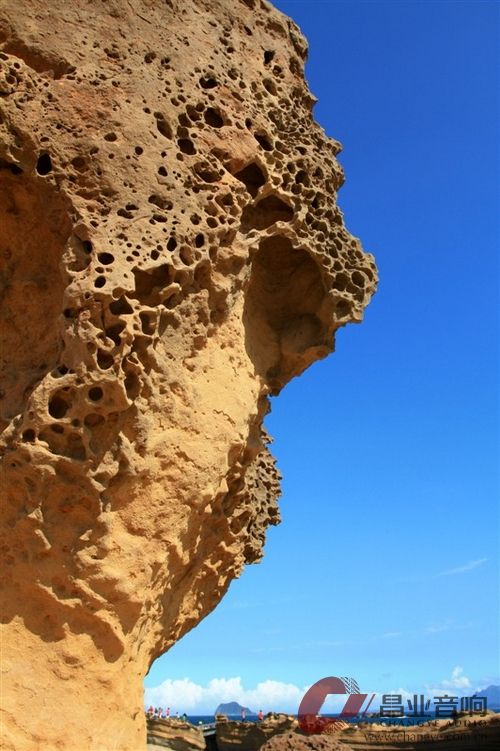 野柳地质6.jpg