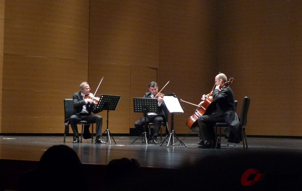 P1040060a.jpg