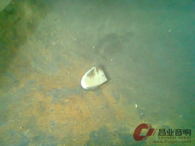 照片0036.jpg