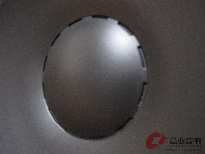喇叭单元  (3).JPG