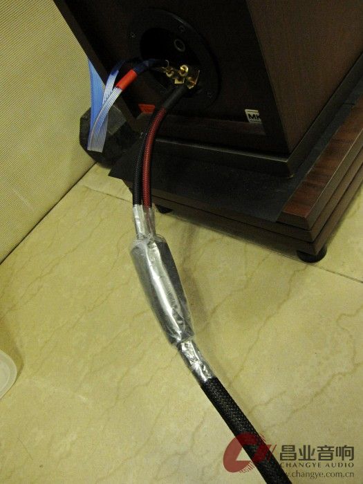 银彩喇叭线   (2).JPG