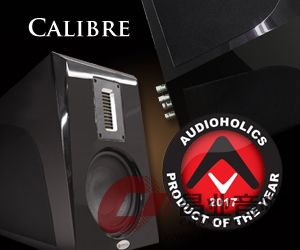 Calibre_POY_2017_Award.jpg