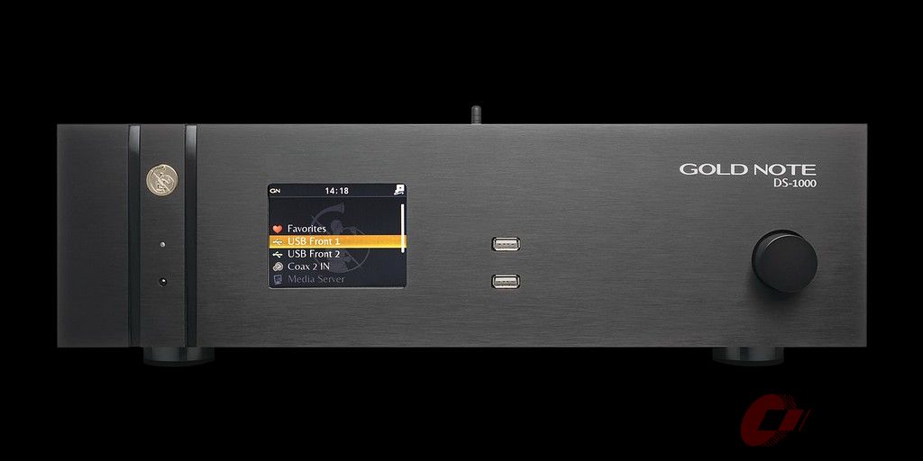 GoldNoteDS1000Front.jpg