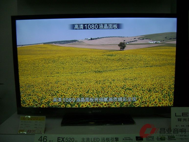 调整大小 DSC03288.JPG