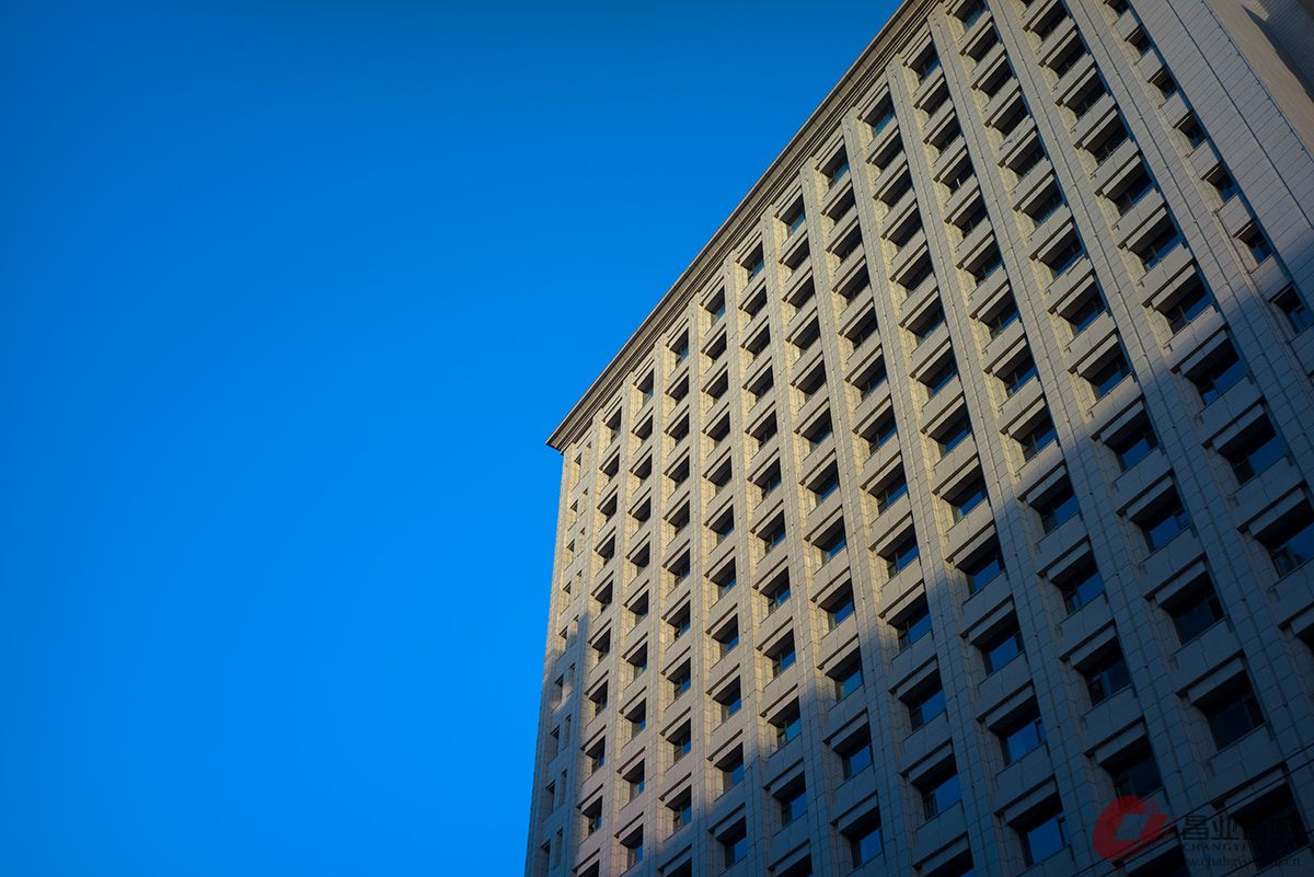 _DSC0159x.jpg