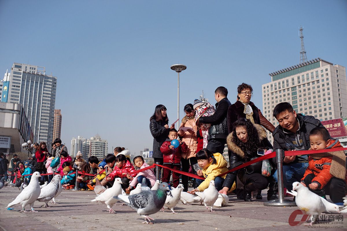_DSC8688x_DxO.jpg