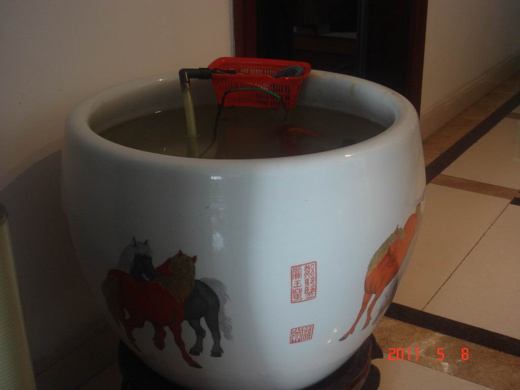 调整大小 DSC06759.JPG