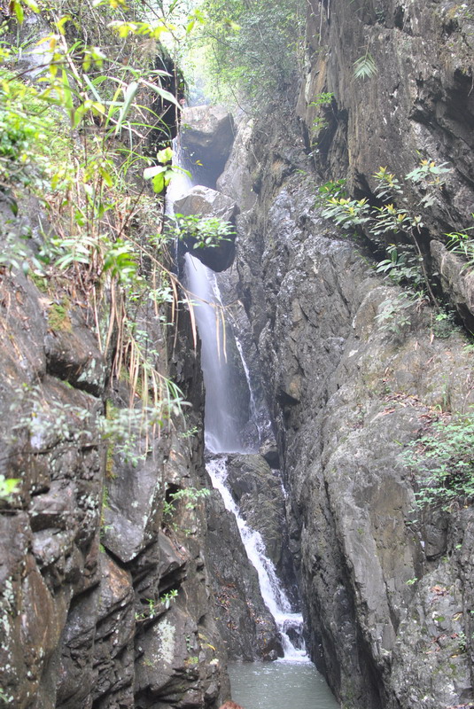 DSC_0309.jpg