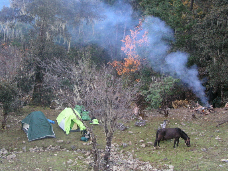 徒步首日，在海拔3千多的野鸡梁子山上扎营，第二天起来时帐篷顶上结满霜