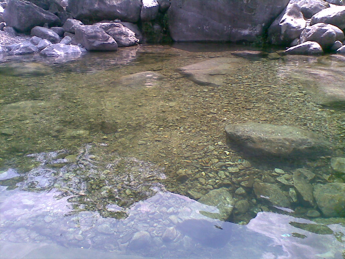 20100818_008.jpg