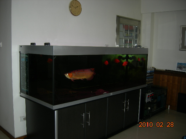 DSCN0452.JPG