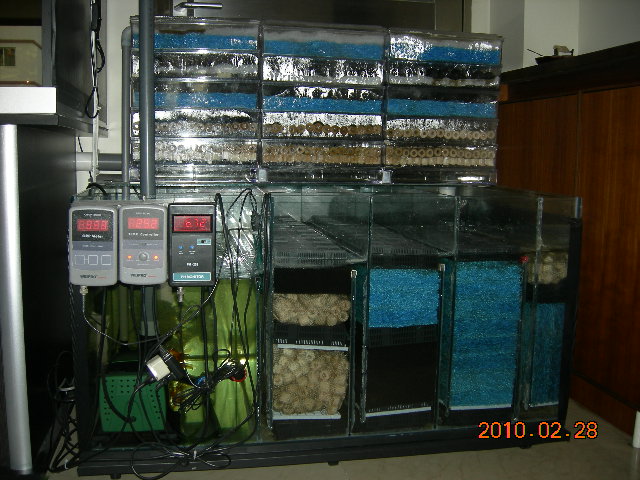 DSCN0442.JPG
