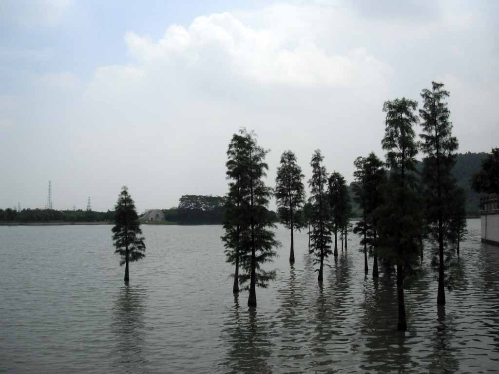 DSCF0900.JPG