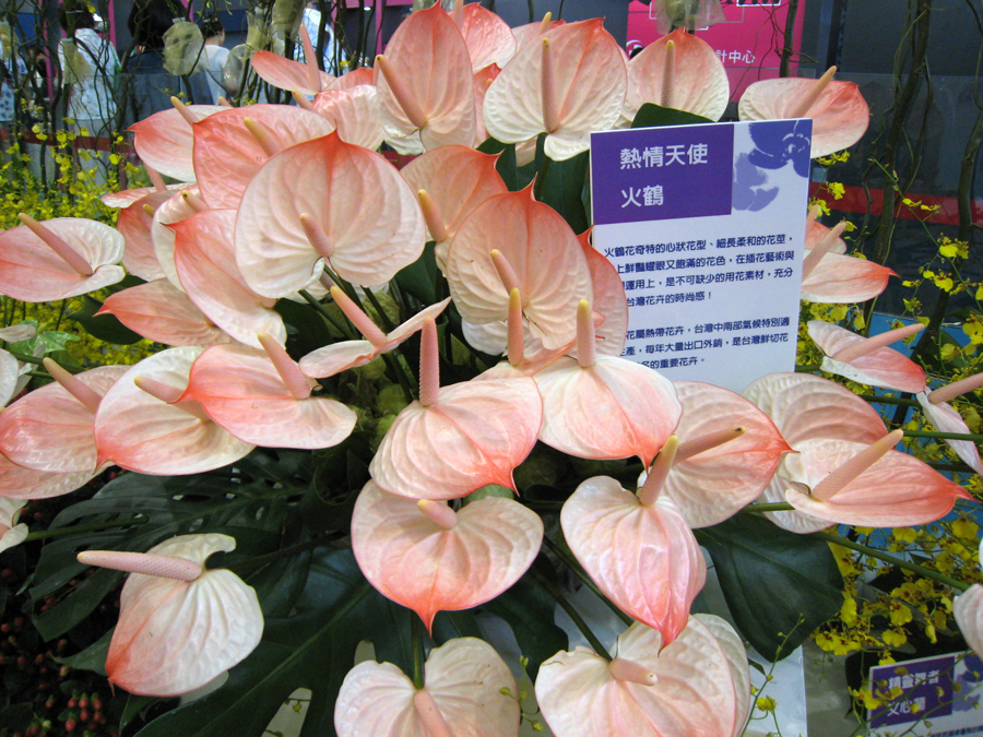 鲜花 C.JPG