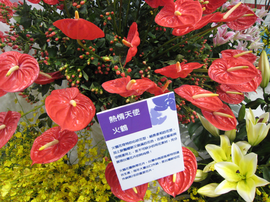 鲜花.JPG