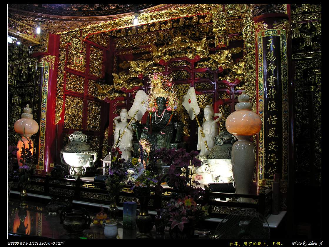 DSCN4748ms.jpg