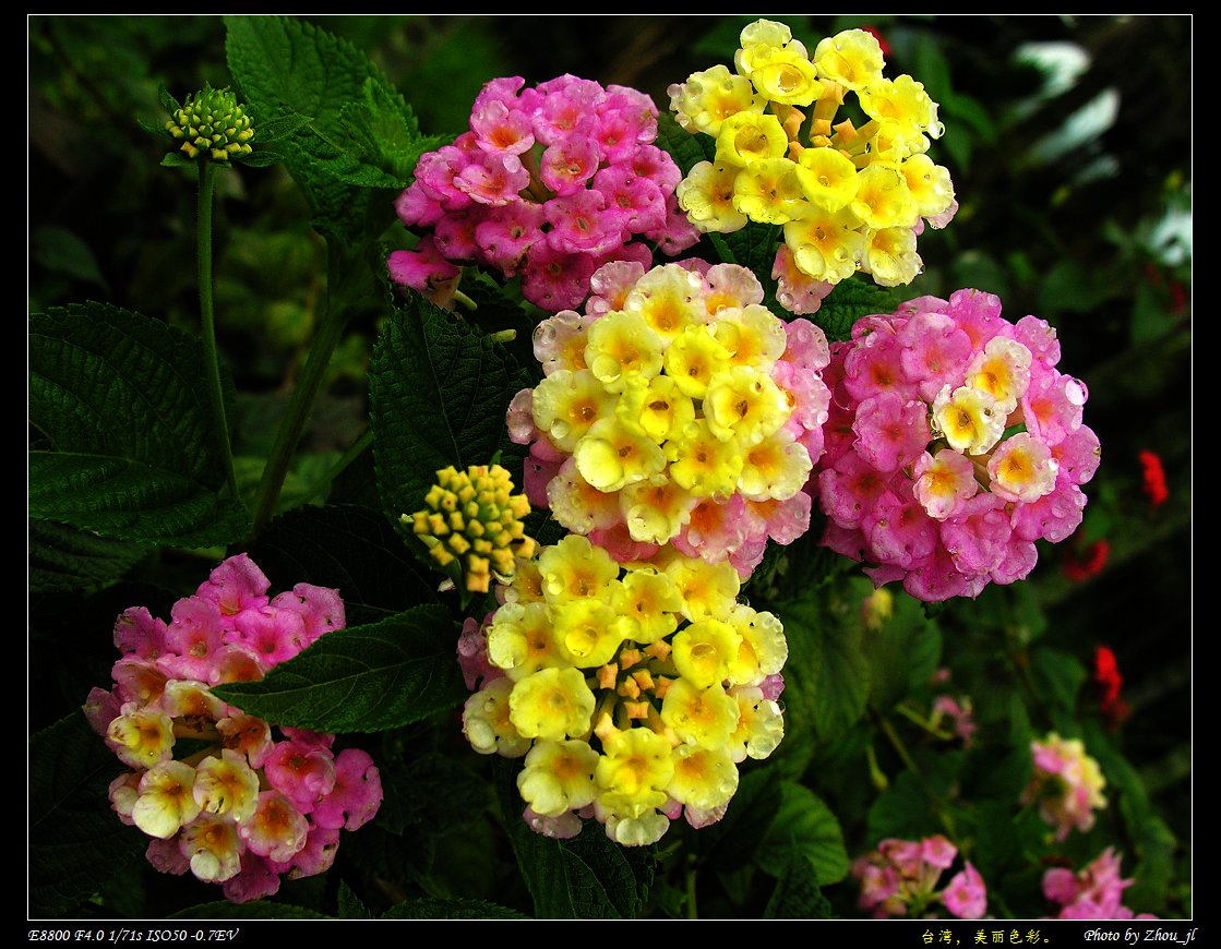 DSCN4843ms.jpg