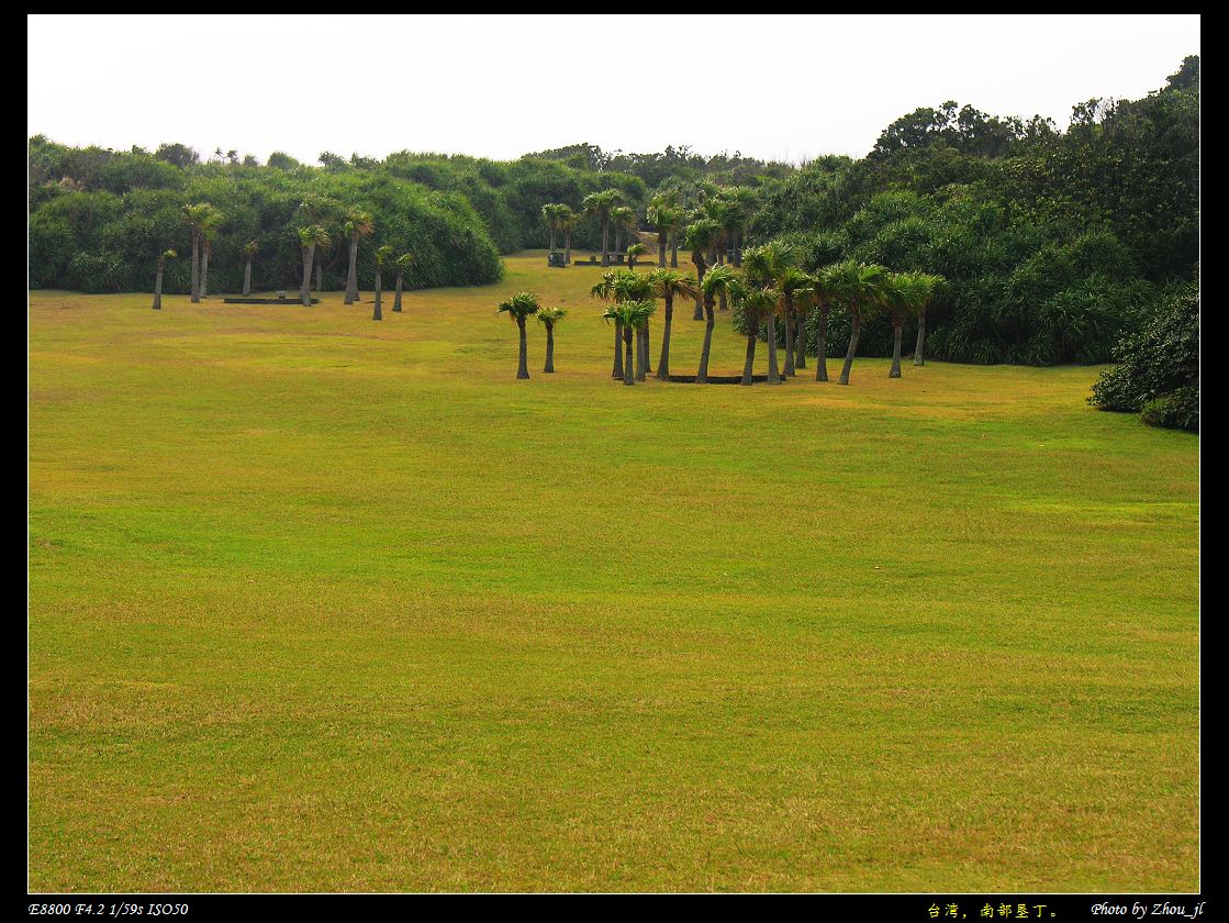 DSCN4907ms.jpg