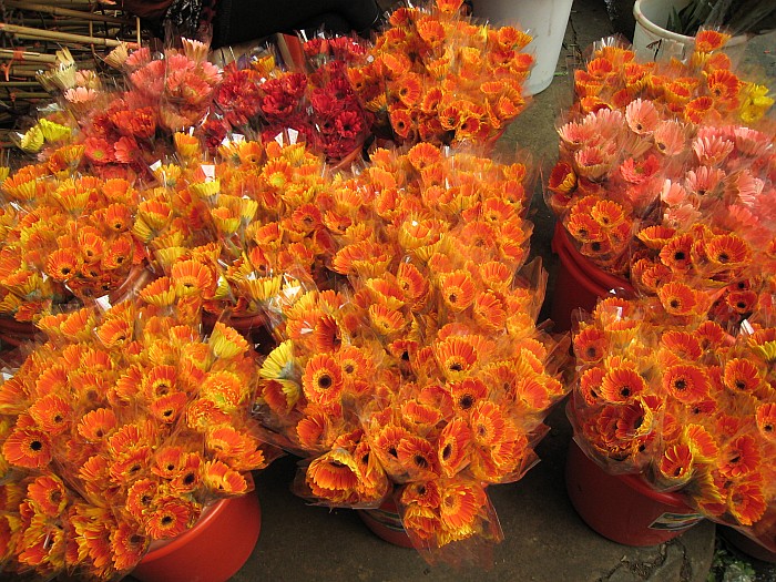 太阳花卖场