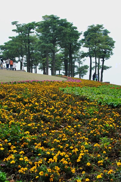 20120201_619e161692d12d3de2dctvC0b2ipUGbi.jpg