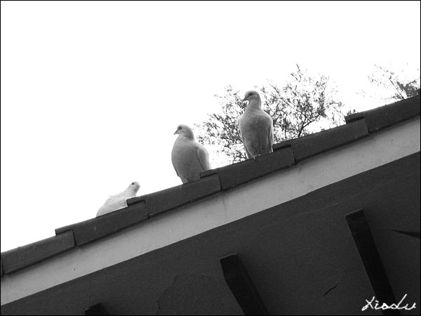 第三者？？？？