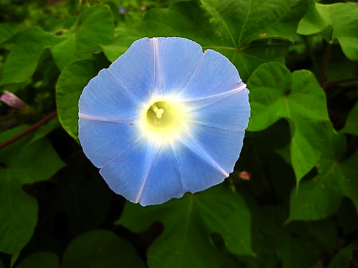 20120322_c211ef7de83696a9310076TKYaBbFmtI.jpg