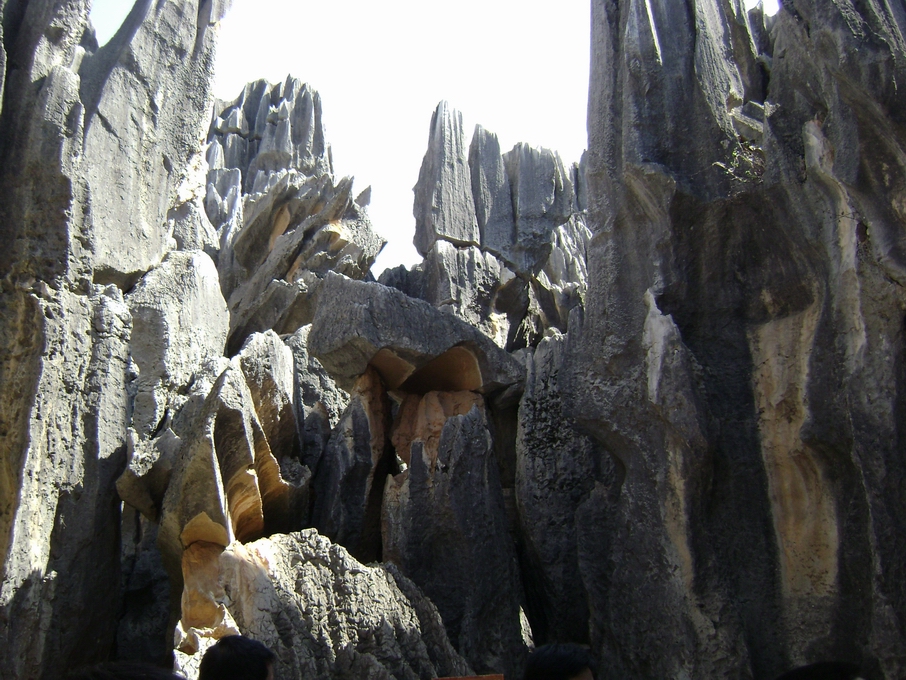调整大小 DSC02990.JPG